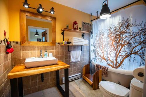 Saint-Laurent-de-l'ile d'OrleansBed and Breakfast Panorama的一间带水槽、浴缸和淋浴的浴室