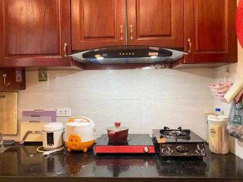 宁平O Zoli Home的厨房台面配有炉灶烤箱