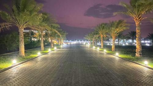 Al GhabbīJawharat Bidiyah Resort "JBR"的一条晚上棕榈树成荫的街道