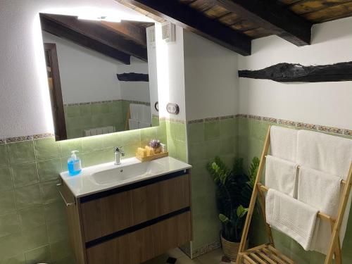 埃尔瓦Apartamentos Rurales El Zarzo的一间带水槽和镜子的浴室