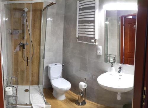 布斯克·兹德鲁伊扎梅克德尔斯拉瓦住宿加早餐旅馆的浴室配有卫生间、盥洗盆和淋浴。