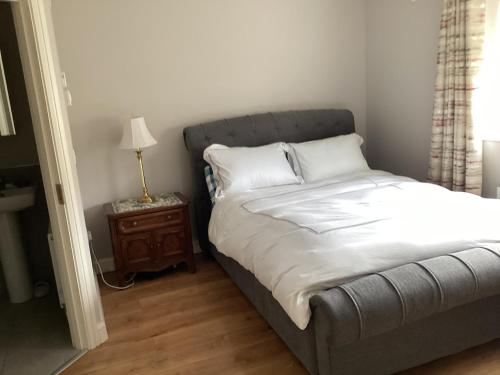 Kilcarn4 Cois Glaisin View的一间卧室配有一张床和一张带台灯的桌子