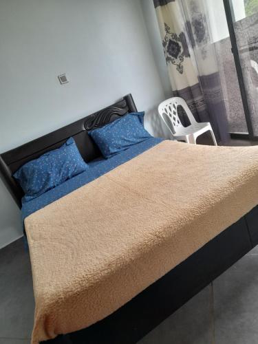 坎帕拉Ella Apartment Albert Cook Road的一间卧室配有一张带蓝色枕头的大床