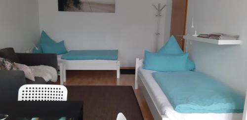 蒂宾根City Apartment Tübingen-Lustnau的客厅配有蓝色枕头和沙发