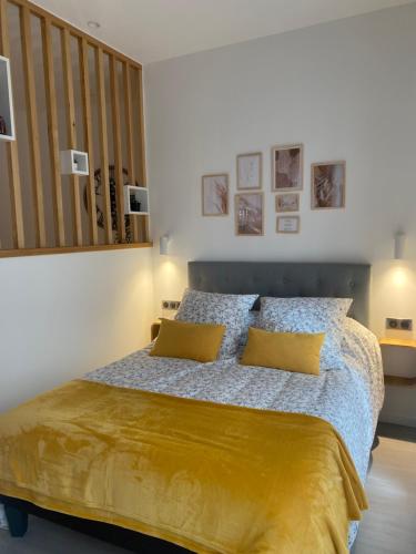 南希Logement confortable, Nancy Thermal, Parc Ste-Marie的一间卧室配有一张带黄色枕头的大床