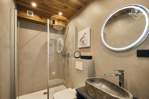 上施陶芬Chalet Weidentraum的带淋浴、盥洗盆和镜子的浴室