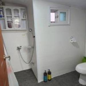 洪川郡Hongcheon fence house的带淋浴和卫生间的浴室
