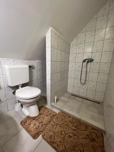赞考A Festő Vendégháza / The Painter's Guest House的浴室设有卫生间和带地毯的淋浴。