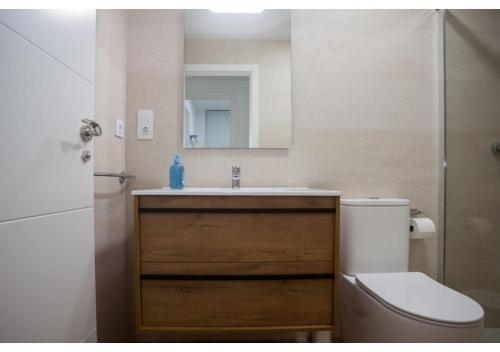圣维森特-德拉巴尔克拉Apartamento Felisa B的一间带水槽、卫生间和镜子的浴室