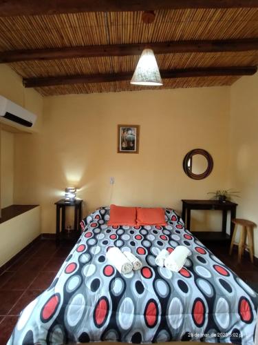 蒂尔卡拉La Casa de la Abuela Tilcara的一间卧室配有一张带红色枕头的大床