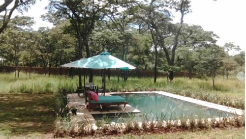 MwambulaLeopards Hill, Lusaka family home in beautiful nature的一个带遮阳伞和桌椅的游泳池
