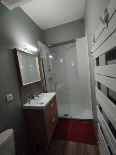 欧雷勒Grande Maison Luberon Ventoux的带淋浴、盥洗盆和镜子的浴室