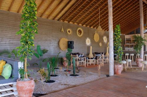 达赫拉Desert Sands Dakhla的一个带盆栽和桌椅的庭院