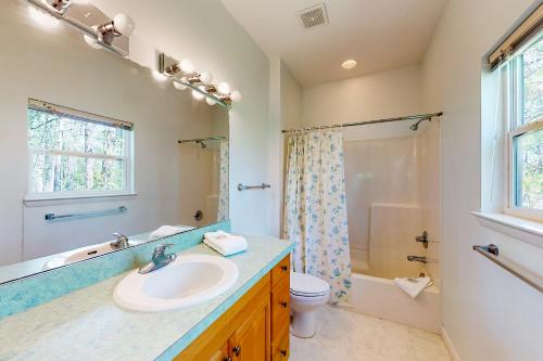 圣乔治岛Seminole Wind的一间带水槽、卫生间和淋浴的浴室
