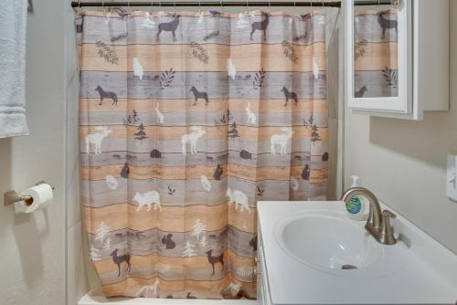 索尔多特纳Cozy Soldotna Vacation Rental Near Kenai River!的浴室配有带水槽的浴帘