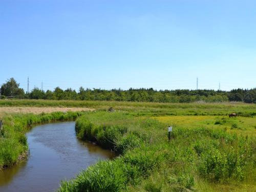 BredebroApartment Esja - 22km from the sea in Western Jutland by Interhome的田间中的一种河流