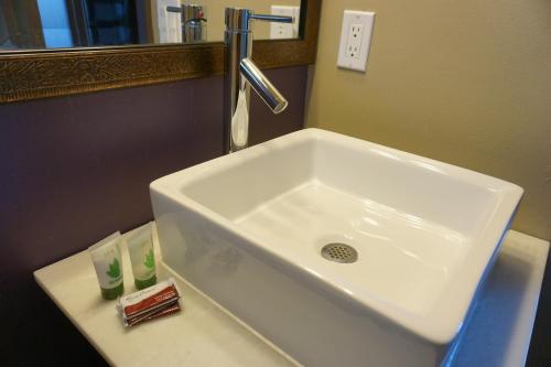 圣卡洛斯旅行汽车旅馆的浴室设有白色水槽和镜子