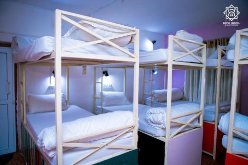 博卡拉Gypsy Hostel & Backpackers的紫色墙壁的客房内设有四张双层床。