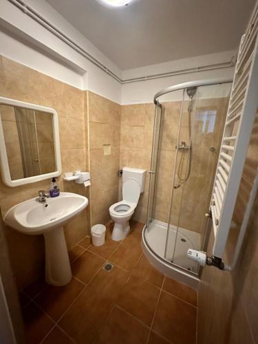 蒂米什瓦拉Georgiana Apartments 2的浴室配有卫生间、盥洗盆和淋浴。