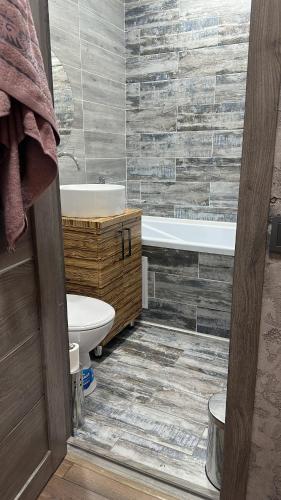 巴尔喀什Комфортабельная однокомнатная квартира的带浴缸、卫生间和盥洗盆的浴室