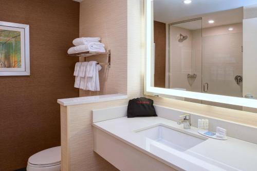 伊普西兰蒂Fairfield Inn & Suites By Marriott Ann Arbor Ypsilanti的一间带水槽、镜子和卫生间的浴室
