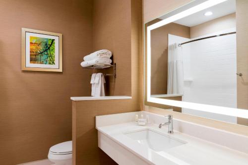 西门罗Fairfield Inn & Suites by Marriott West Monroe的一间带水槽、卫生间和镜子的浴室