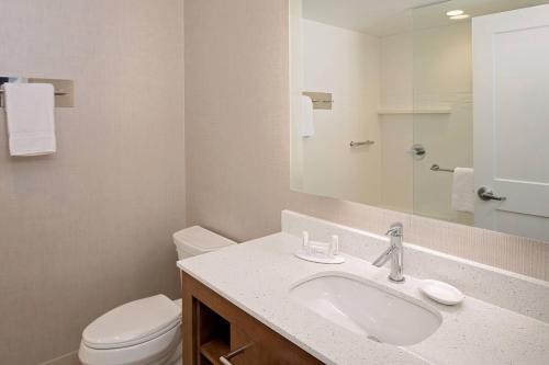 萨默维尔Residence Inn by Marriott Charleston Summerville的一间带水槽、卫生间和镜子的浴室