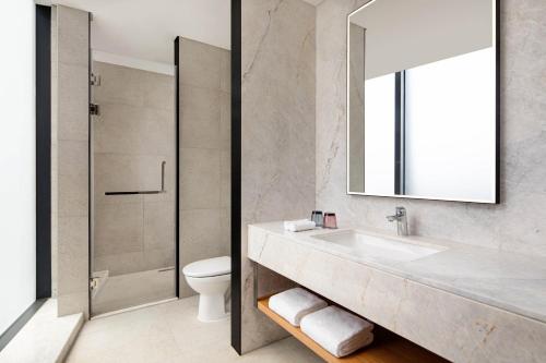 上海上海嘉定福朋喜來登酒店的一间带水槽、卫生间和镜子的浴室