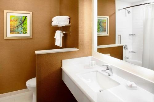 TriadelphiaFairfield by Marriott Inn & Suites Wheeling at The Highlands的一间带水槽、卫生间和镜子的浴室