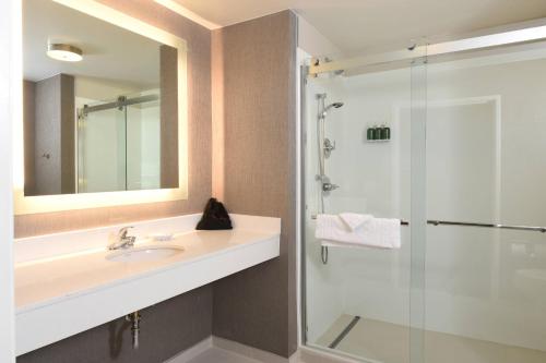 西得梅因得梅因西春季山丘套房酒店的一间带水槽和淋浴的浴室