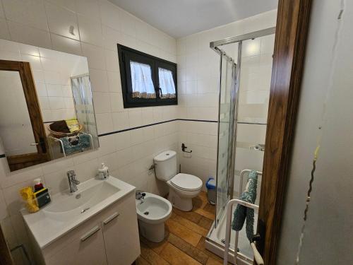 Playa del HombreEstudio Brisa Canaria的浴室配有卫生间、盥洗盆和淋浴。