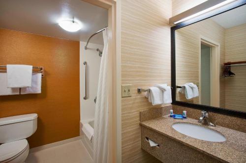 贝德福德公园芝加哥中途机场费尔菲尔德客栈&套房酒店的一间带水槽、卫生间和镜子的浴室