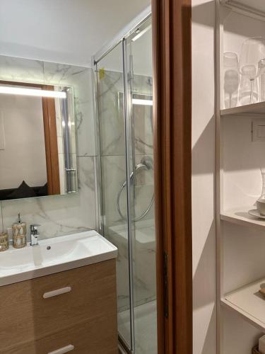 罗马ANNA'S APARTMENT的带淋浴、盥洗盆和镜子的浴室