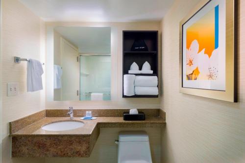 帕拉默斯帕拉姆斯费尔菲尔德万豪酒店的一间带水槽、卫生间和镜子的浴室