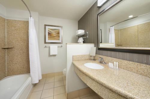 大章克申大章克申万怡酒店的一间带水槽、浴缸和镜子的浴室
