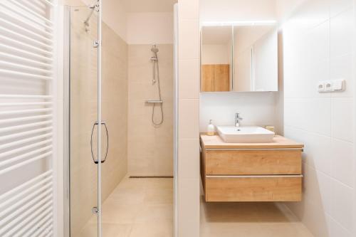 弗林布尔克Deluxe Apartment Lipno - Lake Side Village, Frymburk nad Vltavou的一间带水槽和淋浴的浴室