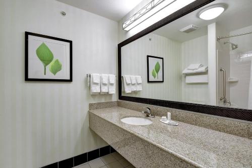 伯尼费尔菲尔德客栈及万豪圣安东尼奥伯尼套房酒店的一间带水槽和大镜子的浴室