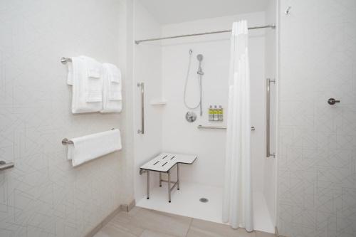 爱达荷福尔斯爱达荷福尔斯快捷假日酒店及套房的带淋浴和盥洗盆的白色浴室