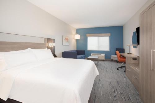 爱达荷福尔斯爱达荷福尔斯快捷假日酒店及套房的一间酒店客房,配有一张白色的床和一张书桌