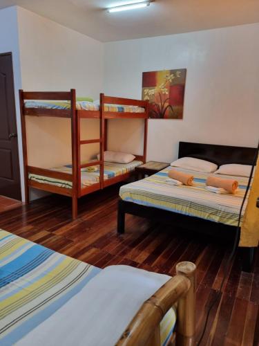 莫阿尔博阿Southpoint Hostel的铺有木地板的客房内配有两张双层床。
