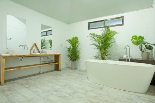 福尔图纳Anthurium house的带浴缸、水槽和盆栽植物的浴室