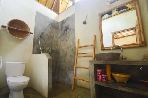 吉利阿尔Gilipad Villa的一间带卫生间、水槽和镜子的浴室
