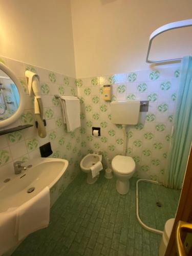 塞尼奥河畔帕拉佐洛Hotel & Ristorante EUROPA的一间带水槽、卫生间和镜子的浴室