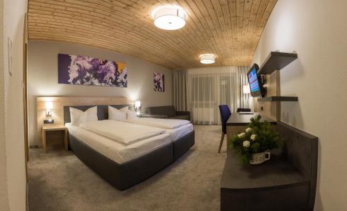 菲根KOSIS Sports Lifestyle Hotel的酒店客房,配有床和电视