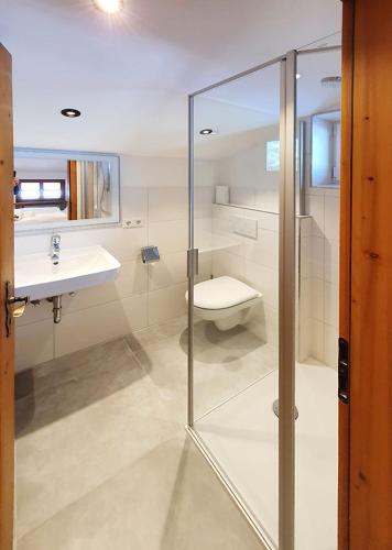 施莱兴Gasthof Zellerwand的一间带玻璃淋浴和卫生间的浴室