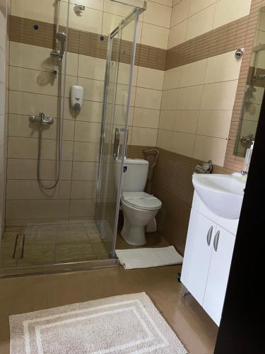 锡比乌Casa Veche的带淋浴、卫生间和盥洗盆的浴室