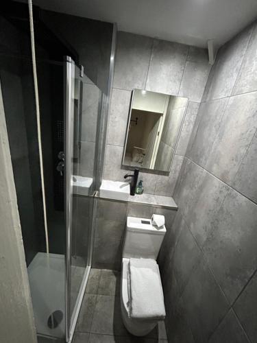 MinworthUnique New 4 Bedroom House, HS2, Business People, Contractors & Families的一间带卫生间、水槽和镜子的浴室