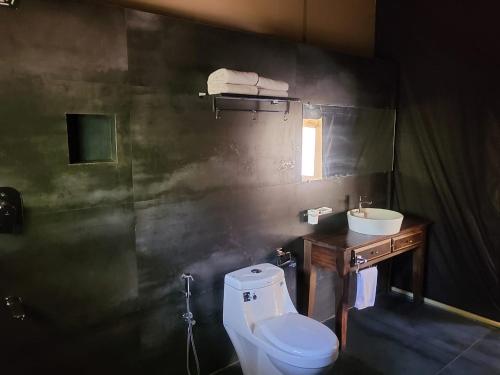马迪凯里Three Hills Resort Coorg的一间带卫生间和水槽的浴室