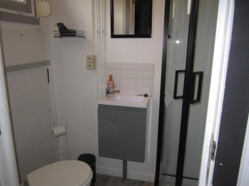 ResteigneLe Petit Chalet的一间带水槽和卫生间的小浴室