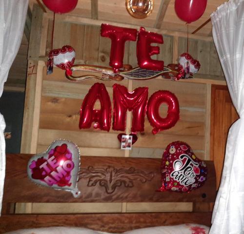 瓜杜阿斯la casita del arbol guaduas cundi.的一个房间,上面标有爱和气球